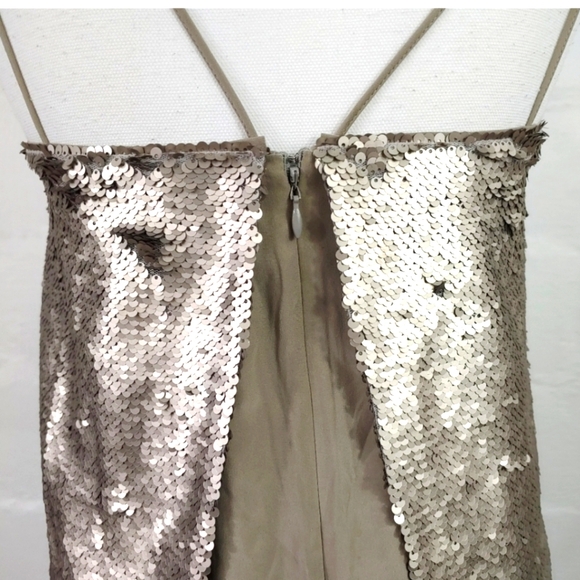 Banana Republic Silver Sequin Chiffon Party Cockta - Picture 5 of 11